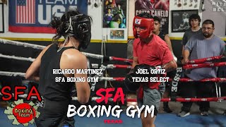 SFA BOXING! GRITTY Mid Week Sparring Between Rival Gyms!