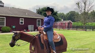 Western Horsemanship Demonstration on the Equicizer