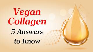 Vegan Collagen, 5 Answers To Know