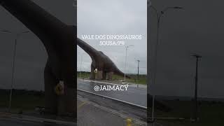 DESCOBERTA DE PEGADAS DE DINOSSAUROS EM SOUSA/PB COMPLETA 100 ANOS.