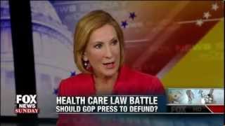 "FOX News Sunday" Panel On GOP Push To Defund Obamacare - 8/11/2013