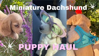 NEW PUPPY HAUL | Everything I Bought for My English Cream Long Haired Miniature Dachshund🌭💖