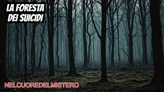 LA FORESTA DEI SUICIDI: UN LUOGO DI MORTE E DI VITA