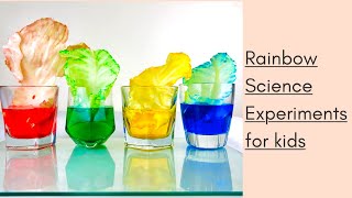 3 Easy Rainbow Science experiments for kids|Grow a Rainbow,Rainbow cabbage,Colorful Rain experiment