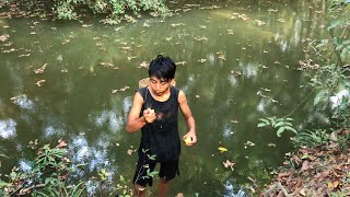 Survival skills TV2 | finding food in the rainforest