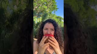 Mamey tastes like sweet potato pie 🧡 #shorts #shortsvideo #fruit #mameysapote