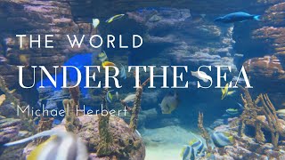 The Underwater World| Michael Herbert