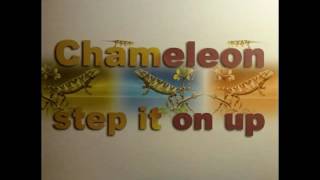 Chameleon - Step It On Up (Extended Club Mix)