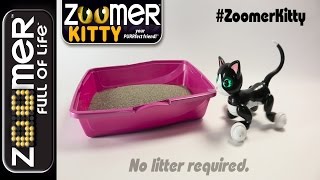 Zoomer | Zoomer Kitty | No More Kitty Litter!