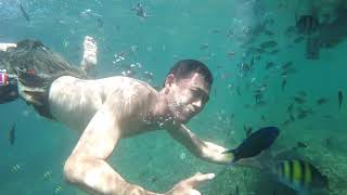 Snorkling di pulau Pahawang Lampung spot ikan Nemo #4