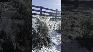 May in the Mountains #ranch #snow #steamboatsprings #lajoyadulce