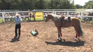 Light Hands Horsemanship 2010 Presented by Spalding Fly Predators Highlights