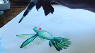 Watercolour hummingbird