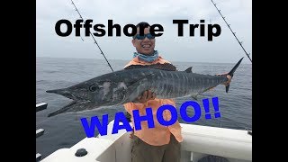 Caught my first wahoo! - June 1, 2017