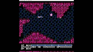 Salamander gameplay on the NES