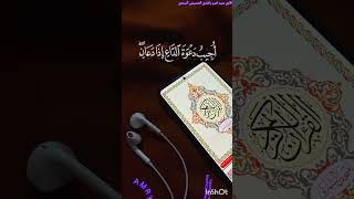 Surah AL Bakar Recitation Quran By Sayed Ameer Rashdi Alhussani #allah #fyp #quran #viral #youtube