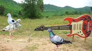 The First Creative DIY Bird Trap Using Guitar Toy - Easy Make A Bird Trap