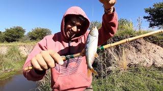 Pescamos MUCHO en este CHARCO que esta LLENO de PECES