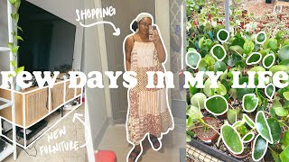 VLOG | cleaning, cooking, plant shopping + new furniture