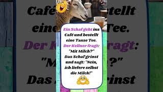 WITZ DES TAGES #witze #german #deutsch