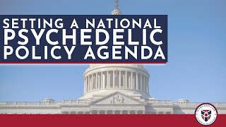 Setting an National Psychedelic Policy Agenda