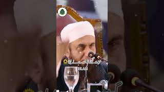 Maaf krna seekho🥰| Molana tariq jameel | Islamic speeches |Islamic WhatsApp status #youtubeshorts