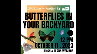 Butterflies in Your Backyard Webinar