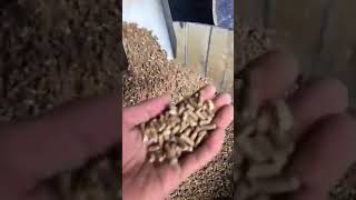 FEEDS PELLET MACHINE | ABA10 AgriBiz