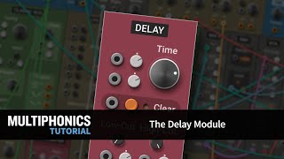 Multiphonics Tutorial 4—The Delay Module