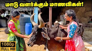 சென்னையில் கிராமத்தை மிஞ்சும் ஓர் மாட்டுப் பண்ணை | Desi Cow Farm In Chennai | Pasumai Vikatan