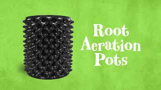 AirRAP Air Pruning Pots - Why You Need To Be Using Them!