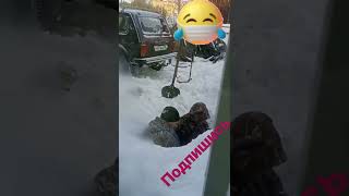 Ищем приманку для рыбалки 🤠#shorts