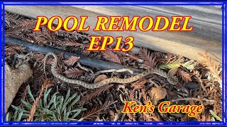 EP13 POOL AND BACKYARD – WEEKEND UPDATE AND A LITTLE SNAKE