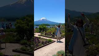 Oishi Park with the view of Mt. Fuji ♥️♥️♥️