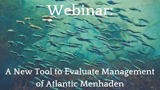 Webinar: A New Tool to Evaluate Management Options for Atlantic Menhaden