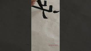 Chinesische Kalligraphie chinese calligraphy 书法练习/永字大法 #calligraphy #永  #artwork #書法 #calligraphyart