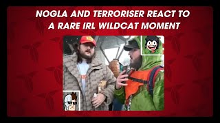 Nogla & Terroriser React To A Rare Irl Wildcat Moment!