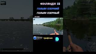 Fisher Online - Фінляндія Гольян Озерний (Гольян Озерный) троф