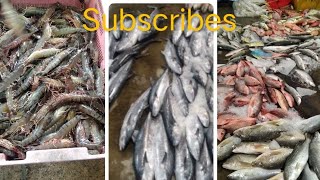 grabe talaga daming isda araw araw🙏🥰 #viralvideo #fishing #subscribe #trending @jonathansascvlog