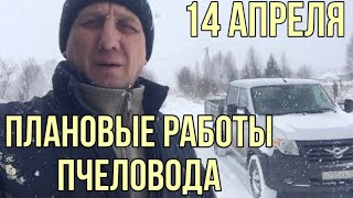 14 апреля. Плановые работы пчеловода