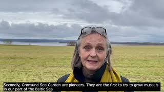 Grønsund Sea Garden - Mussel farming at the coast of Falster