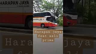 Harapan jaya featuring asli prima bus #busmania #busindonesia #harapanjaya #asliprima #shorts