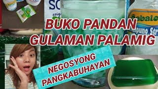 BUKO PANDAN PALAMIG NEGOSYO  #PANGKABUHAYAN