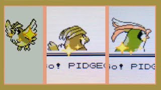 LIVE Shiny Pidgey after 979 REs in Pokemon Crystal (Plus Evolutions)