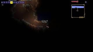 Testing Live Terraria