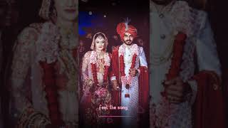 4k New Hindi Song Status Video||New Version||Wedding Status Video 💚💚#Short #hindustanlite