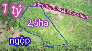 đất rẻ, 2,5ha cà phê chỉ 1 tỷ. quảng tân tuy đức.0987326906