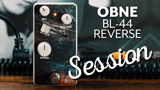 Old Blood Noise Endeavor BL-44 VARIABLE CLOCK REVERSE / Unboxing and Demo with Guitar and Synth