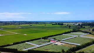 2207 State Highway 2, Opotiki