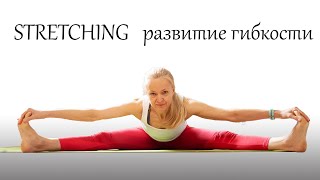 Тренировка на развитие гибкости всего тела Stretching. Flexibility Workout.